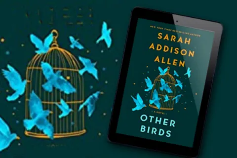 book cover of Other Birds