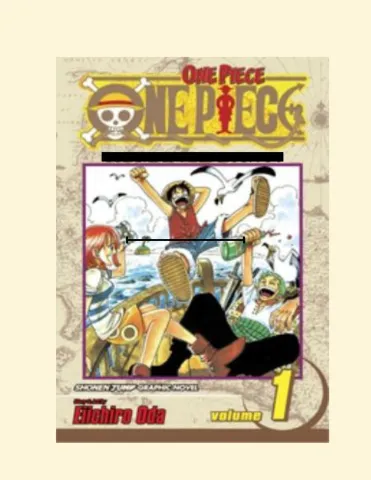 One Piece book cover