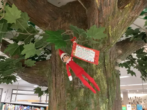 Elf on the Shelf in a Tree