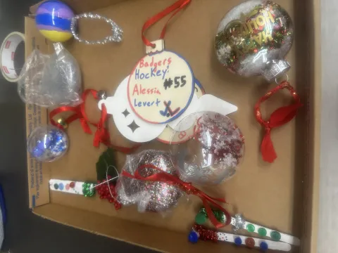 picture of holiday ornaments