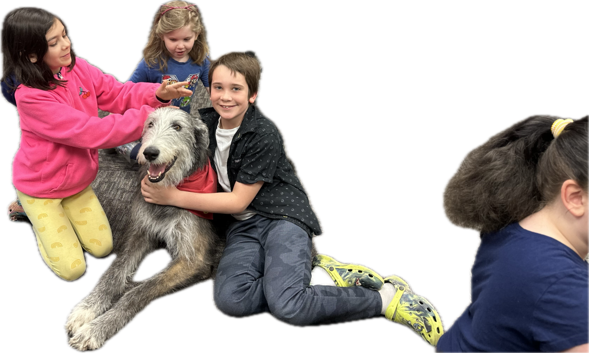 kids petting a dog