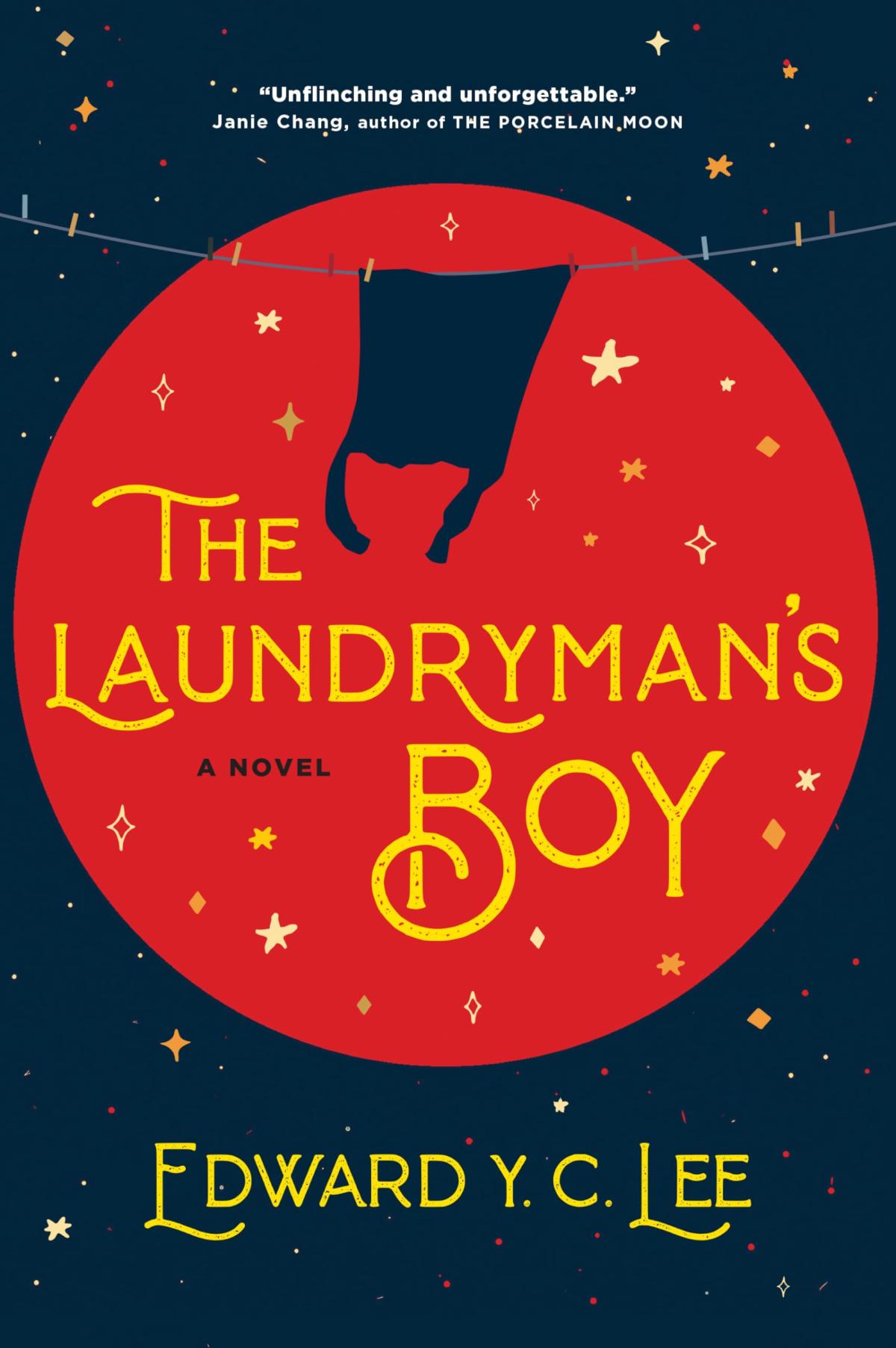 cover of book Laundryman's Boy