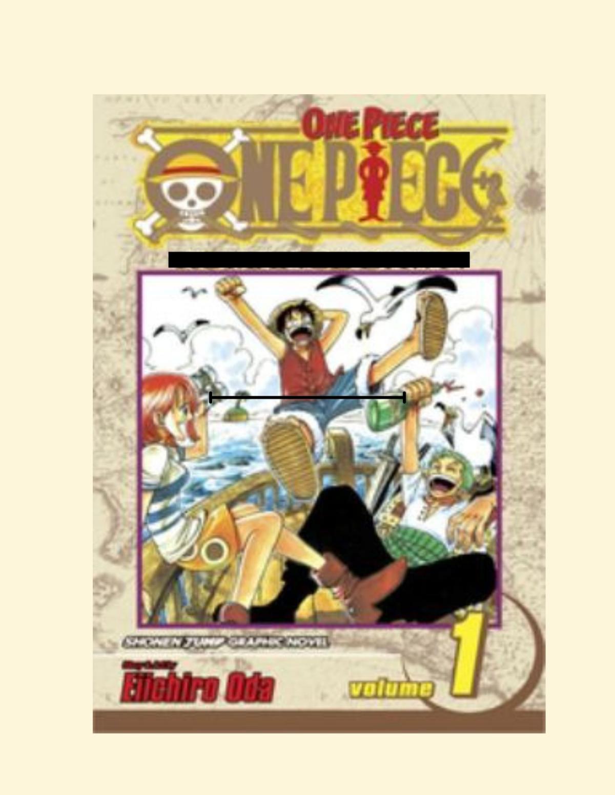 One Piece book cover