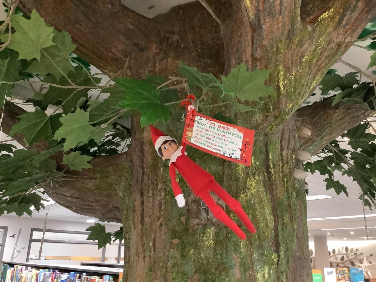 Elf on the Shelf in a Tree